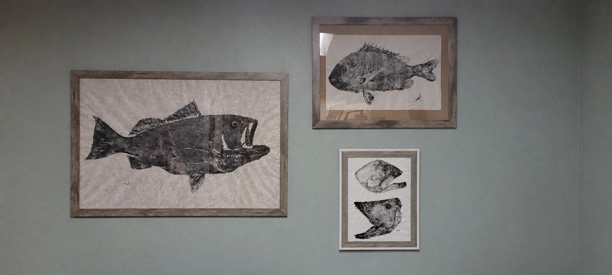 Framed fish print display inspiration