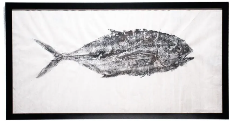 Finished Gyotaku fish print displayed in a frame; frame not included