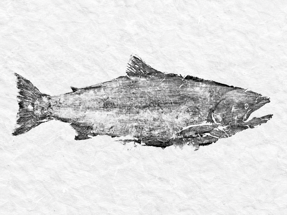 Full black and white Gyotaku fish print
